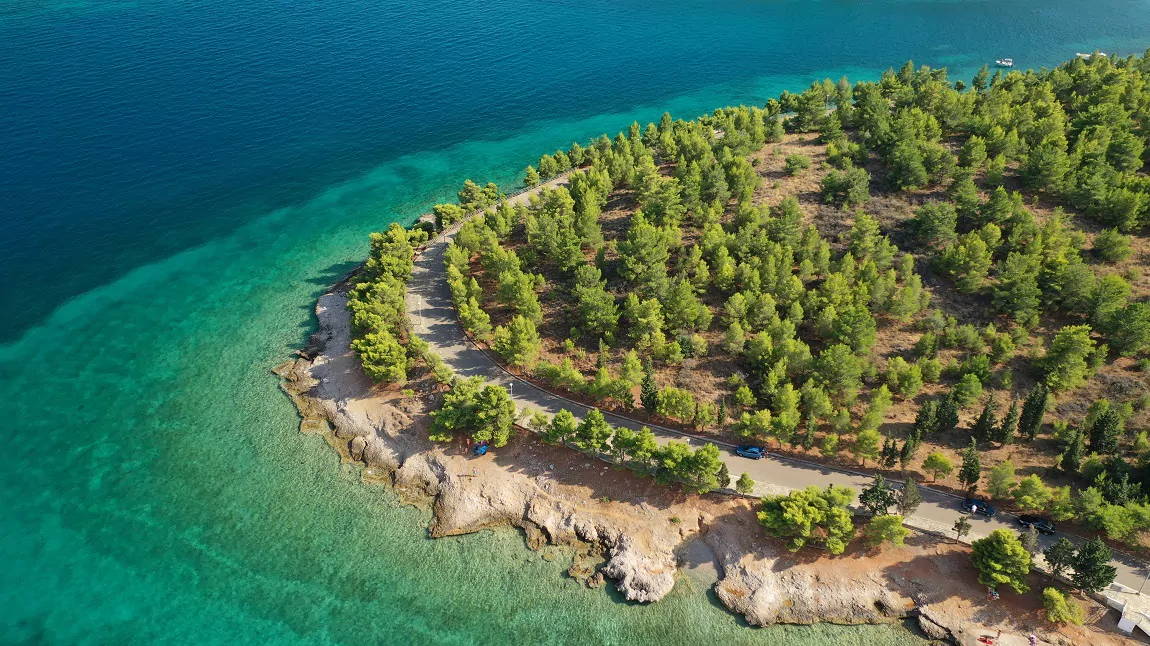 Aerial view of pine-covered coastline and turquoise water